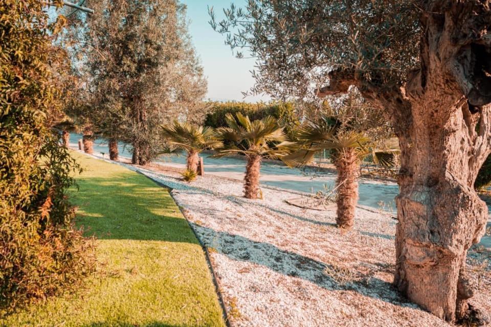 فندق Guimaglamp غيمارايش المظهر الخارجي الصورة